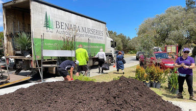 Total Backyard Renovation with Breast Cancer Care WA